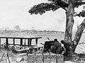 Image 46Australian anti-tank gunners overlooking the Johor Causeway between Singapore and Malaya in February 1942 (from Military history of Australia during World War II)