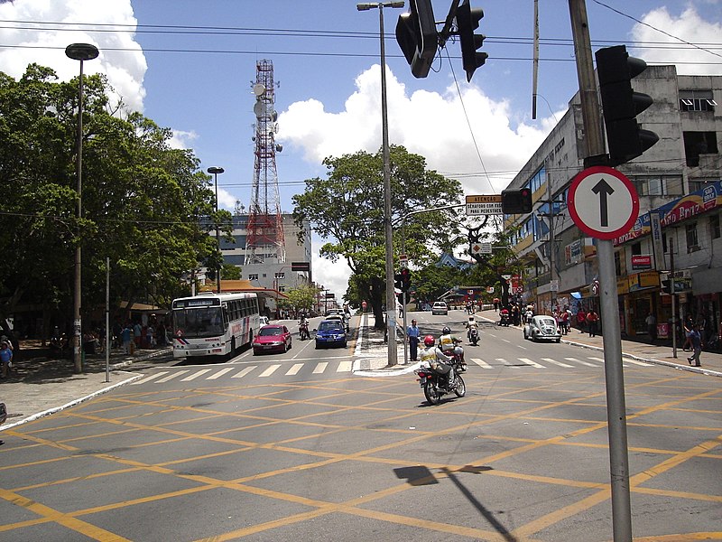 File:Avenida Floriano Peixoto - canteiro.jpg