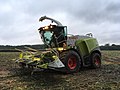 Claas Jaguar 950