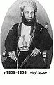 Hamad ibn Thuwaini ibn Said (1893–1896)