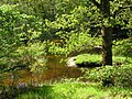 Small river in Creuse