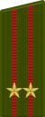 Lieutenant Colonel