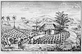 Image 3Tobacco fields in Cuba, 1859 (from History of Cuba)