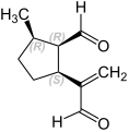 (1S,2R,3R)-Stereoisomer (D′)