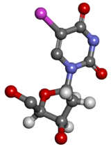 Image illustrative de l’article Bromodésoxyuridine