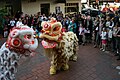 Dragon dancing in Ashfield