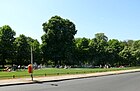 Grillen im Tiergarten an der John-Foster-Dulles-Allee