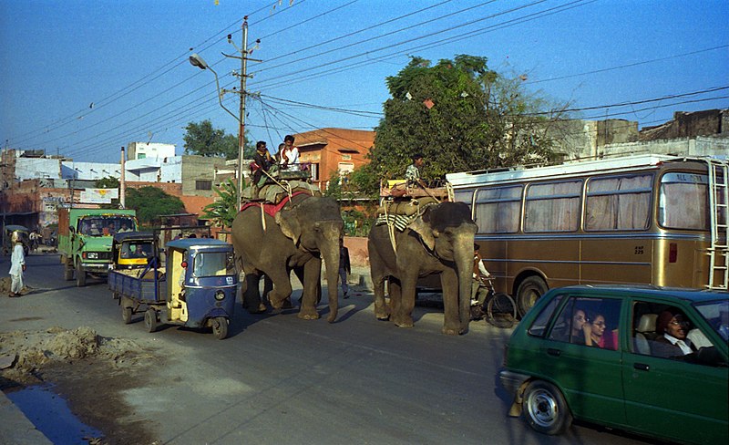 File:1996 -222-20 Jaipur (2234191852).jpg