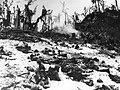 Battle of Peleliu