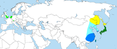 Distribución en Asia y Europa de Aix galericulata