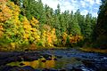 The South Santiam River at Cascadia State Park.