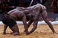 Image 4Senegalese Wrestling (from Senegal)