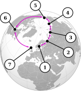 Seven "species" of Larus gulls interbreed in a ring around the Arctic.