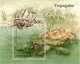 Грифовые черепахи на марке Азербайджана 1995 года