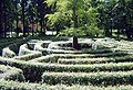 hedge maze in Aschaffenburg