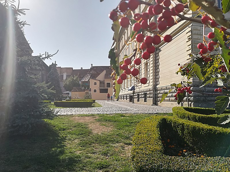 File:Sighișoara Cetate.jpg