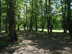 Slottsallén i Åkeshovs slottspark.