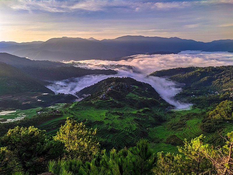 File:Maligcong Rice Terraces.jpg