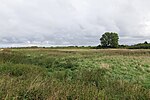 Thumbnail for File:Meadow in NP Vorpommersche Boddenlandschaft north of Hiddensee 2021-09-17 04.jpg