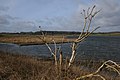 Reed beds and periodically submerged islets at the lake.