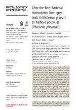 Thumbnail for File:After the bite - bacterial transmission from grey seals (Halichoerus grypus) to harbour porpoises (Phocoena phocoena).pdf