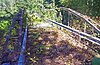 Double-Span Whipple Bowstring Truss Bridge