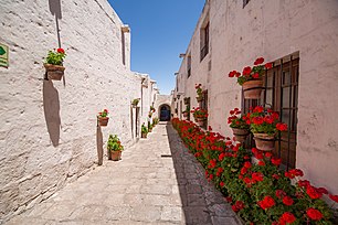 White street with red geraniums in the monastery