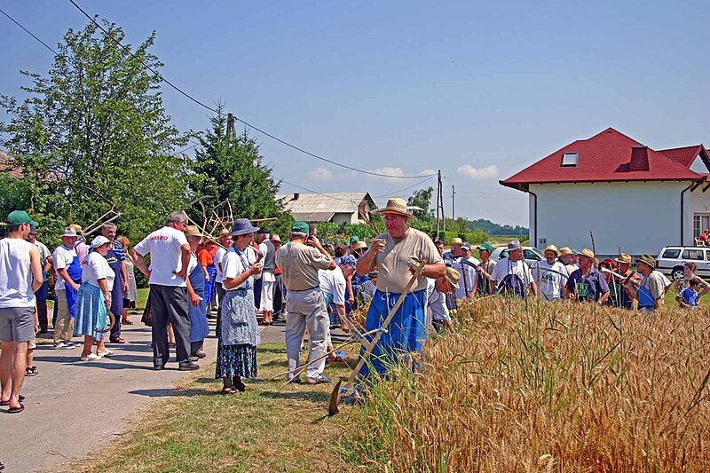 File:Žetev in mlačva po domače - žetev in mlačva nekdaj 3.jpg