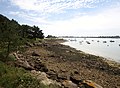 La grève côté Rivière d'Auray vue depuis un point situé au sud du port de cette pointe.