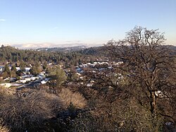 Murphys in Winter