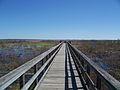 The US 441 overlook, facing east.