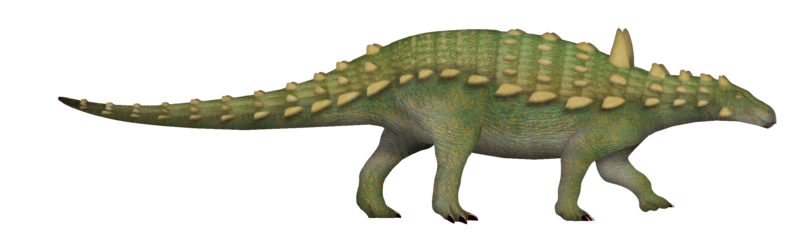 File:Aletopelta UDL.png