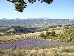 Les Baronnies : vallée de Sainte-Jalle vue du col de Soubeyrand, dans le sud. Au fond le mont Ventoux (Vaucluse).