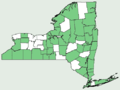 New York distribution map for subsp. amomum