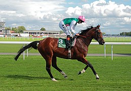 Frankel, en 2013.