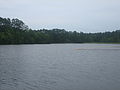 Ratcliff Lake in the Davy Crockett National Forest