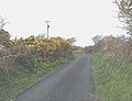 Paved back road, Llanfairyneubwll, Isle of Anglesey, UK