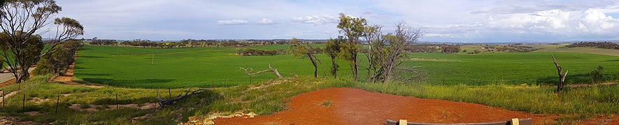 Centenary hill pana gnangarra.jpg