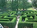 a hedge maze