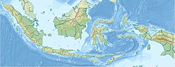 Gunung Burangrang yang terletak di Indonesia