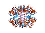 1j0x​: Krostalna struktura gliceraldehid-3-fosfat dehidrogenaze (GAPDH) iz mišiča zeca