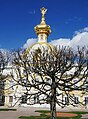 Coat-of-Arms Wing of Grand Peterhof Palace