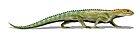 Mesosuchus browni