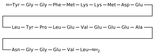 Amidorphin primary sequence.svg