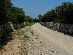 Country road - panoramio (3).jpg