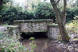 Le ru de Rebais, en lisière du bois des Fréculs.