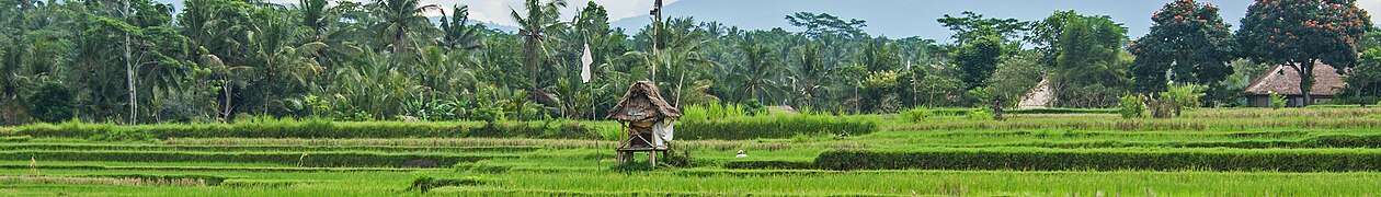 A view of Bali