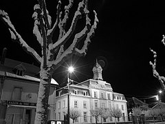 25250 L'Isle-sur-le-Doubs, France - panoramio - Michel Mougey (4).jpg