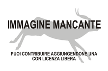 Immagine di Muntiacus puhoatensis mancante