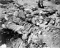 Dead workers lie in uneven rows on floors of barracks at Nordhausen.